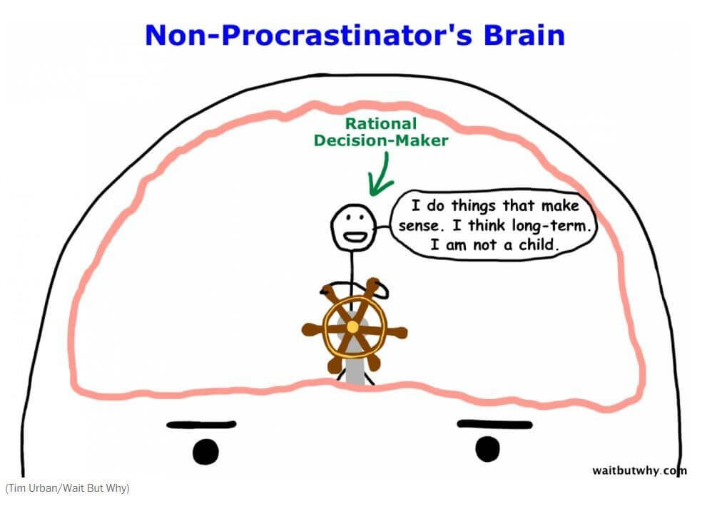 non-brain
